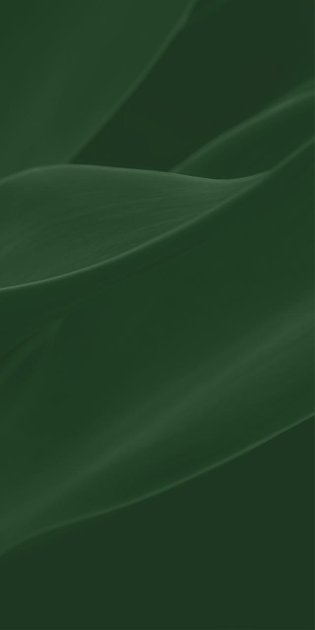 background-1.jpg