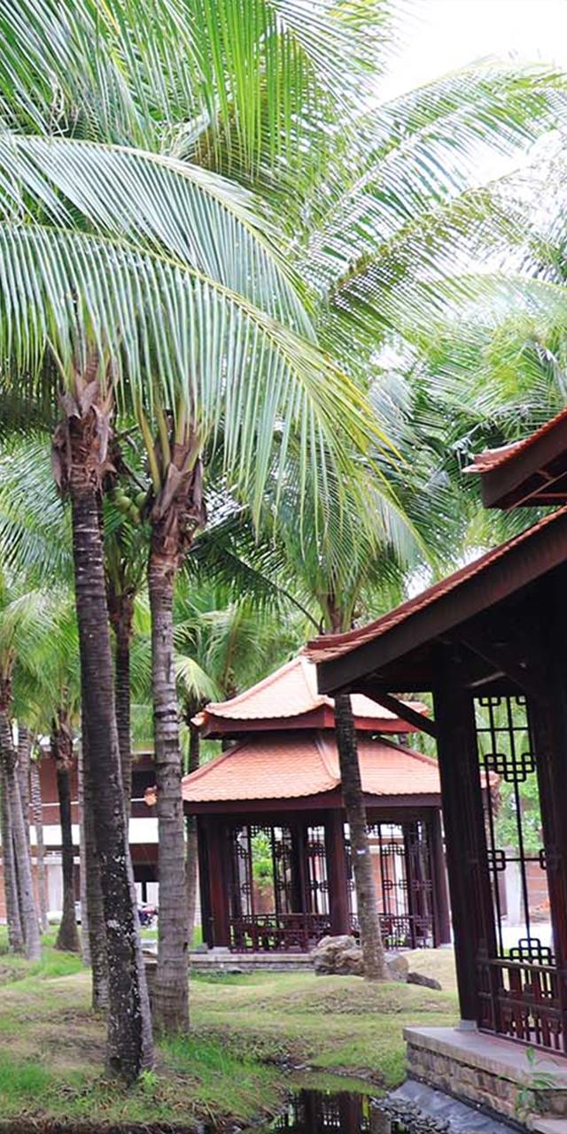 section-6/mobile/cong-vien-trung-tam.jpg